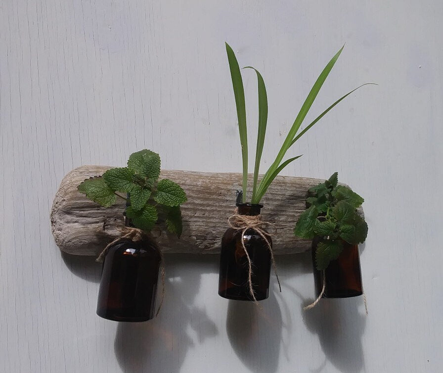 Rustic Single Flower Vases Driftwood Wall Hanging Bottle Vases