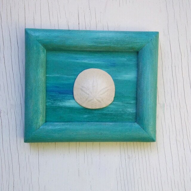 5X7 Beach Decor Blue Green Frame With Real Oregon Sand Dollar
