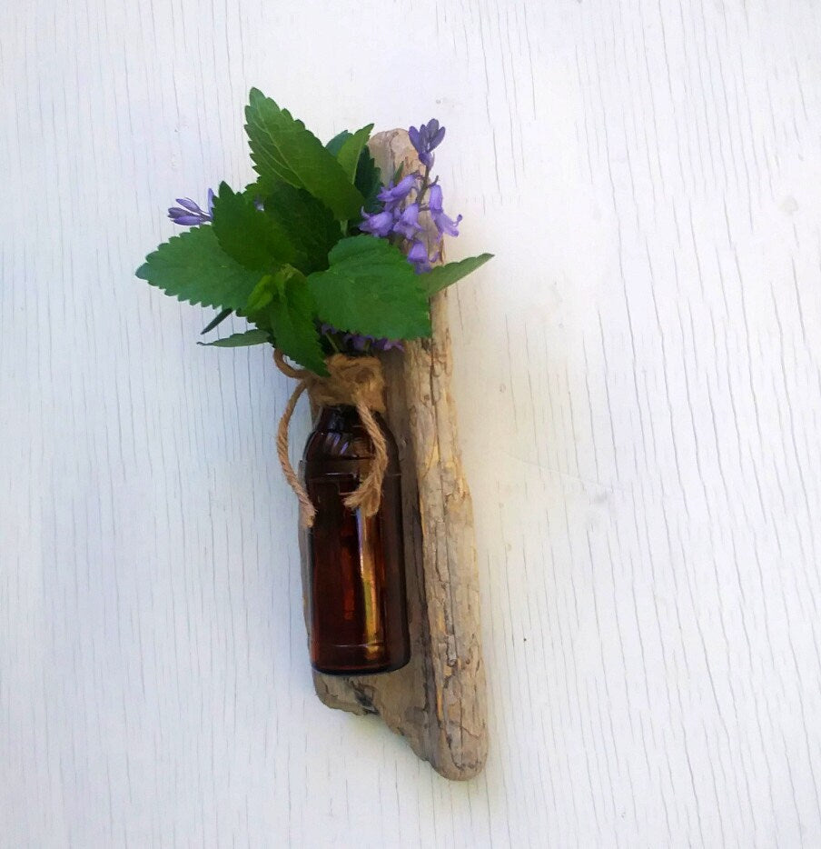 Driftwood Flower Vase Wall Hanging Air Plant Brown Bottle Vase