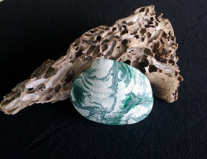 Green Clam Shells Beach Bathroom Decor