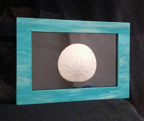 Beach Bathroom 5X7 Blue Green Frame With Real Oregon Sand Dollar
