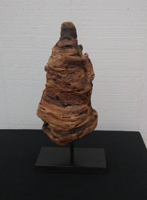 Driftwood Pine Knot Rustic Wooden Mantel Sculpture
