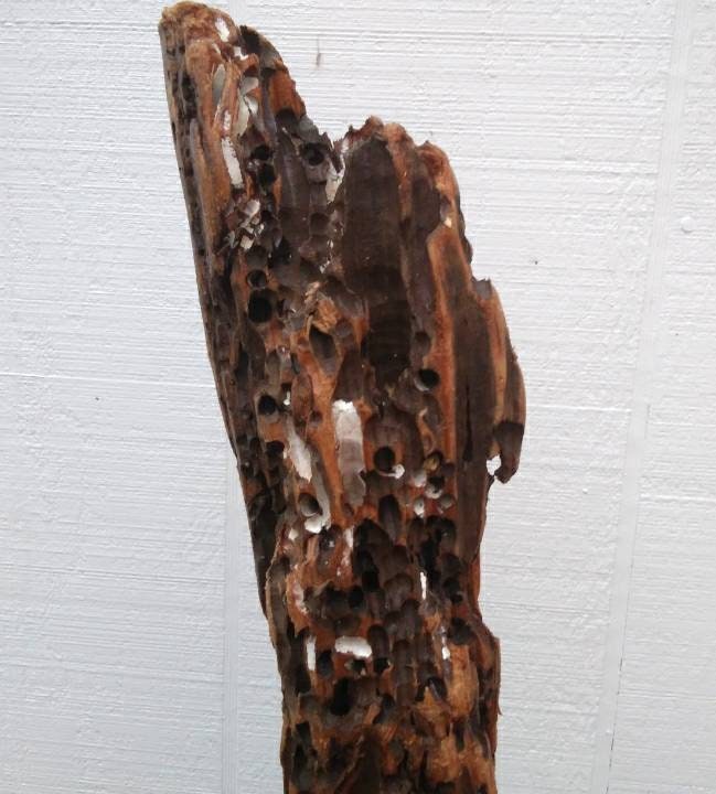 Driftwood Mantel Sculpture