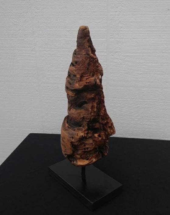 Driftwood Pine Knot Rustic Wooden Mantel Sculpture