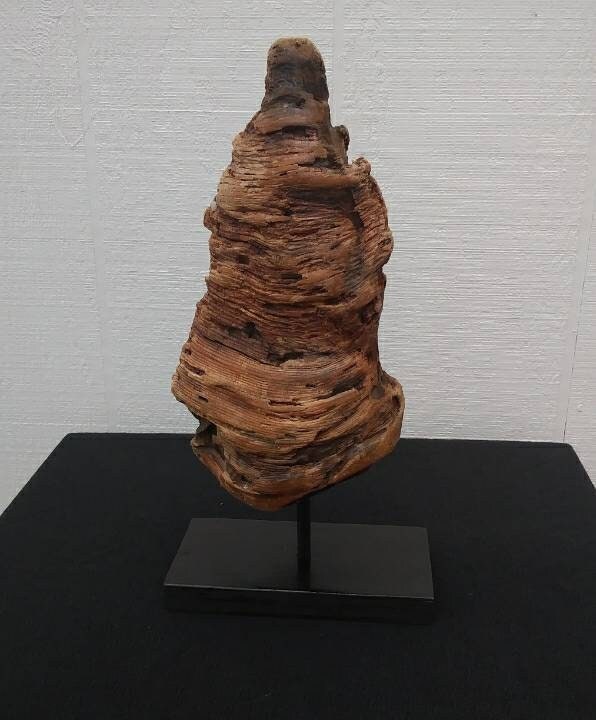 Driftwood Pine Knot Rustic Wooden Mantel Sculpture