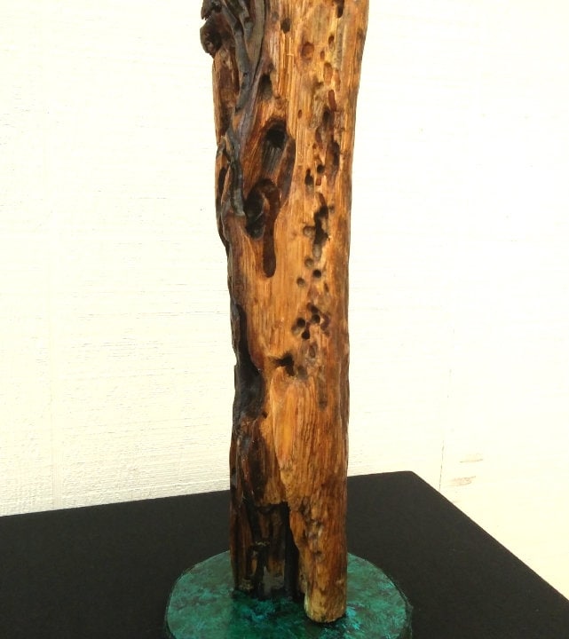 Driftwood Sculpture Rustic Room Decor
