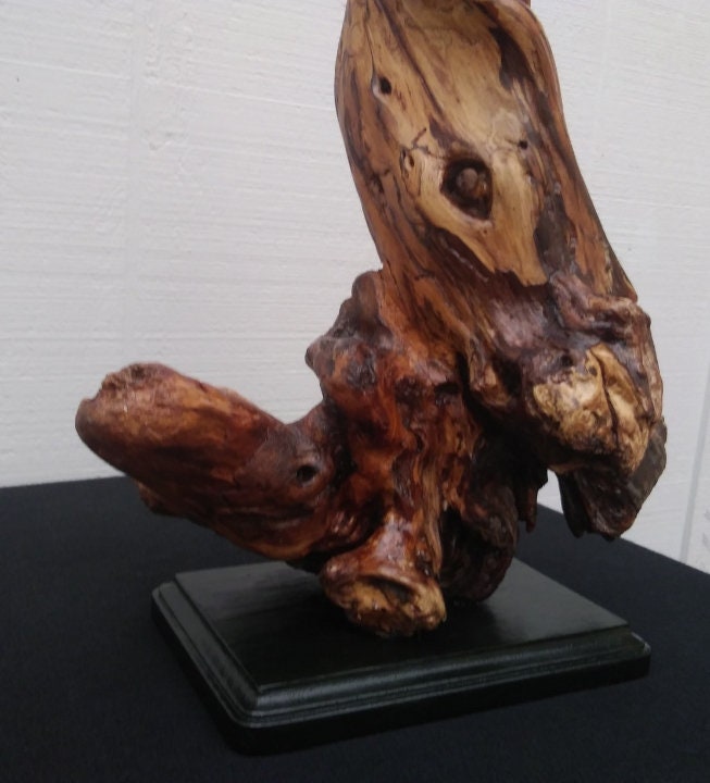 Driftwood Art Abstract Floor Sculpture Lodge Style Decor