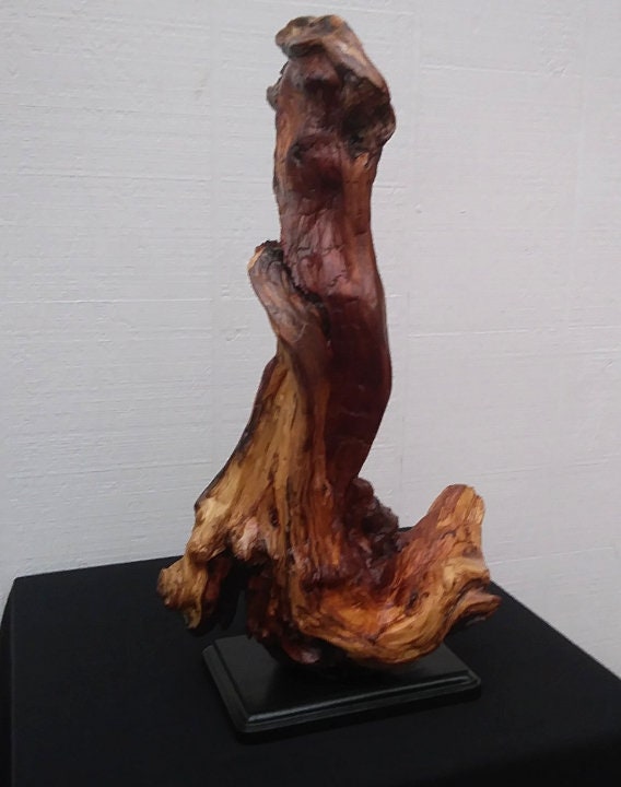 Driftwood Art Abstract Floor Sculpture Lodge Style Decor