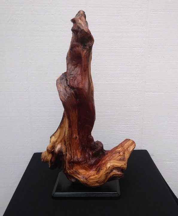 Driftwood Art Abstract Floor Sculpture Lodge Style Decor