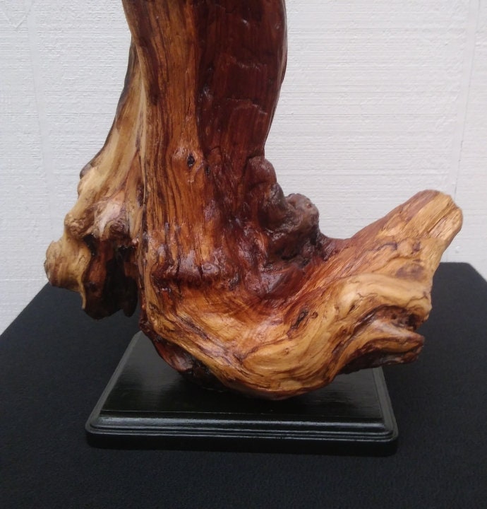 Driftwood Art Abstract Floor Sculpture Lodge Style Decor