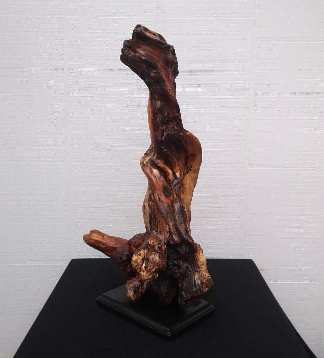 Driftwood Art Abstract Floor Sculpture Lodge Style Decor