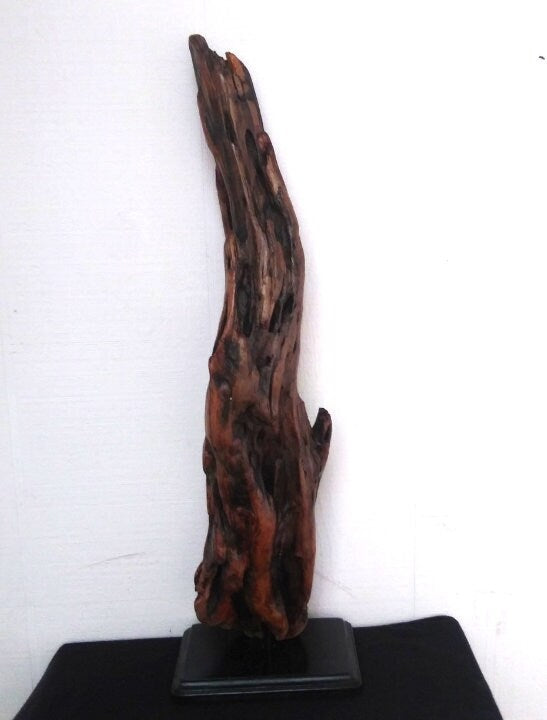 Wooden Sculpture Natural Driftwood Decor