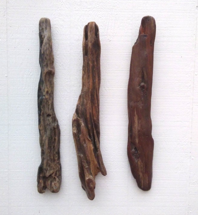 3 Driftwood Branches Wall Hanging Driftwood Room Decor