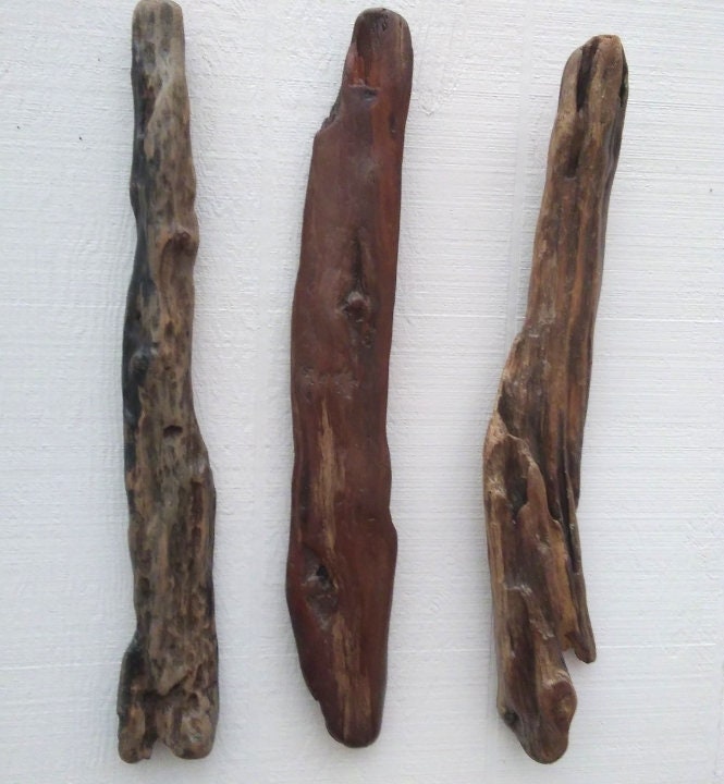 3 Driftwood Branches Wall Hanging Driftwood Room Decor