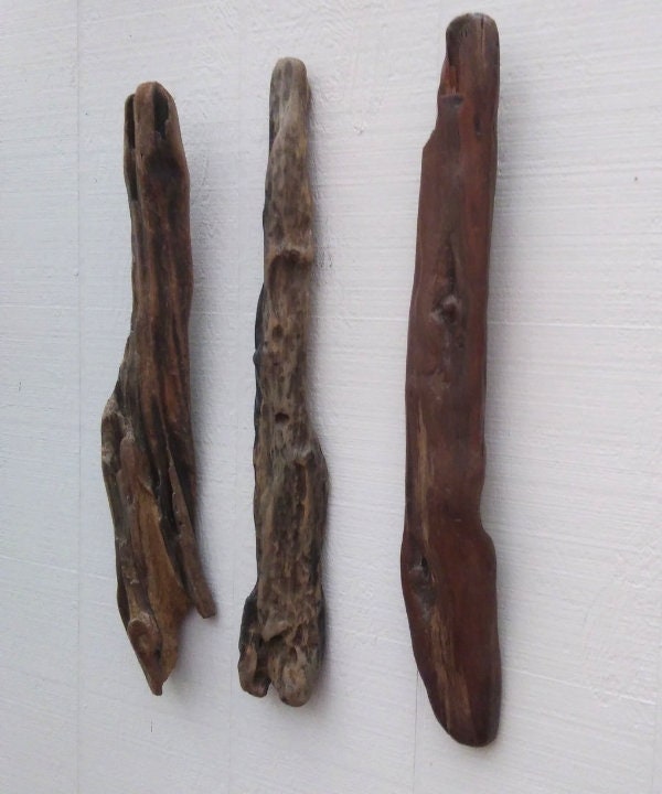 3 Driftwood Branches Wall Hanging Driftwood Room Decor
