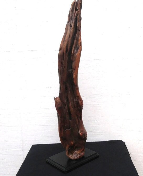 Wooden Sculpture Natural Driftwood Decor