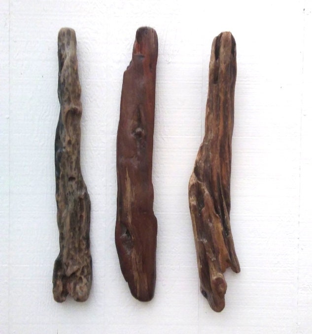 3 Driftwood Branches Wall Hanging Driftwood Room Decor
