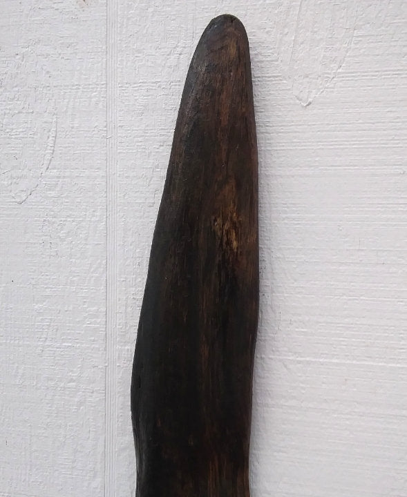 Driftwood Wall Art Branch Dark Brown