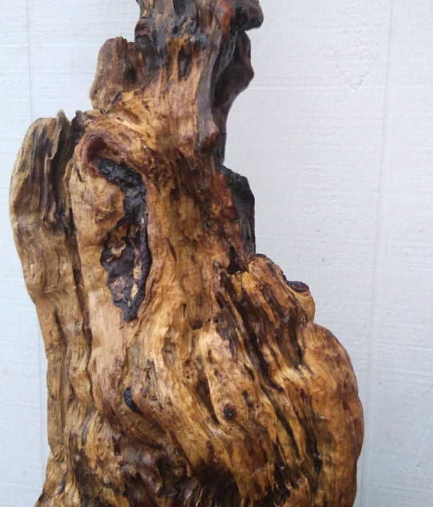Large Driftwood Floor Sculpture Rustic Statement Piece