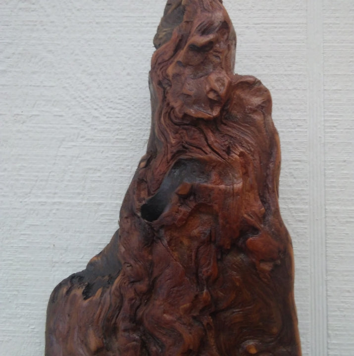Rustic Wood Wall Sculpture Driftwood Art