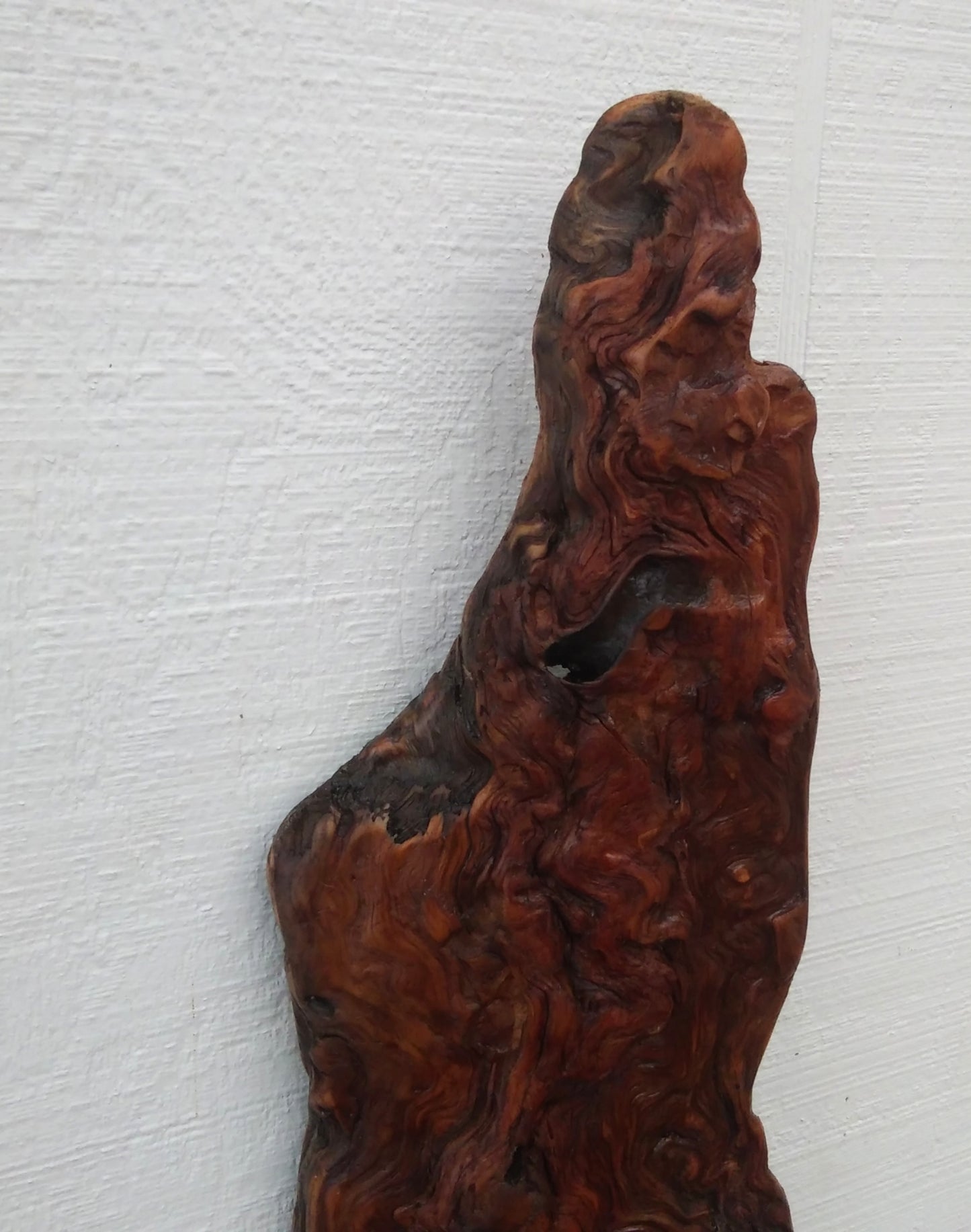 Rustic Wood Wall Sculpture Driftwood Art