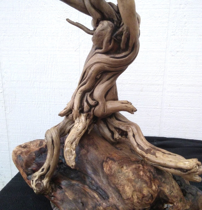 Driftwood Tree On Driftwood Base Mantel Sculpture