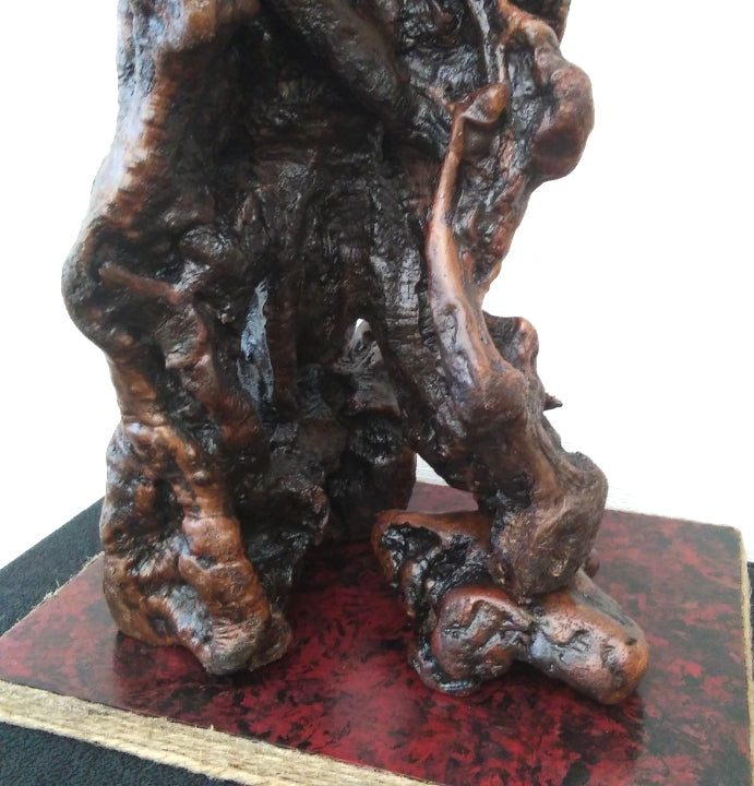 Manzanita Burl Sculpture
