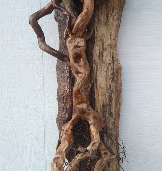 Large Leafless Driftwood Tree Wall Hanging