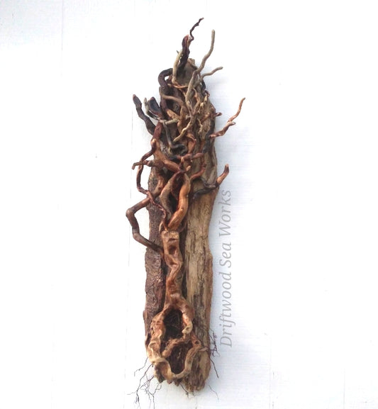 Large Leafless Driftwood Tree Wall Hanging