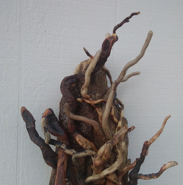 Large Leafless Driftwood Tree Wall Hanging