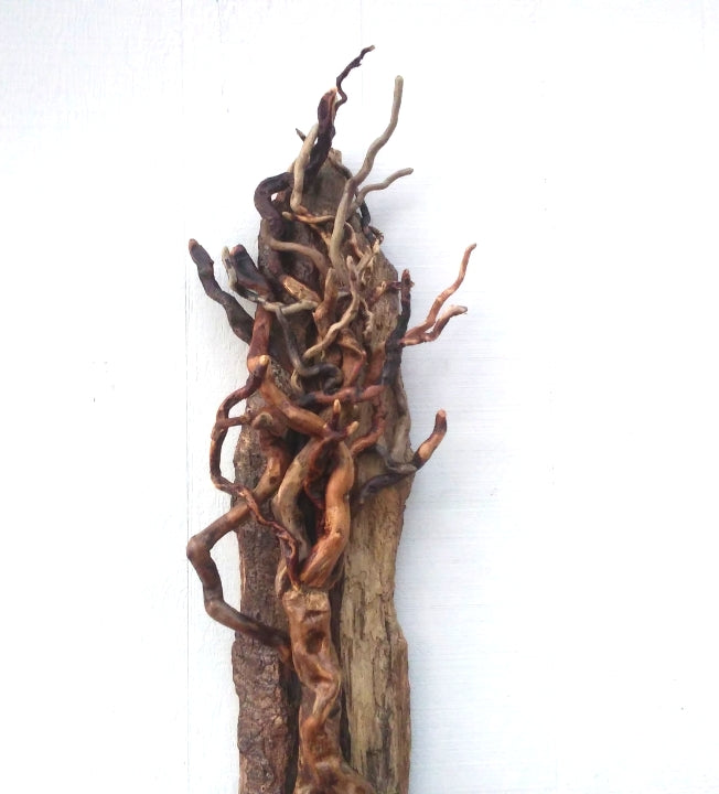 Large Leafless Driftwood Tree Wall Hanging