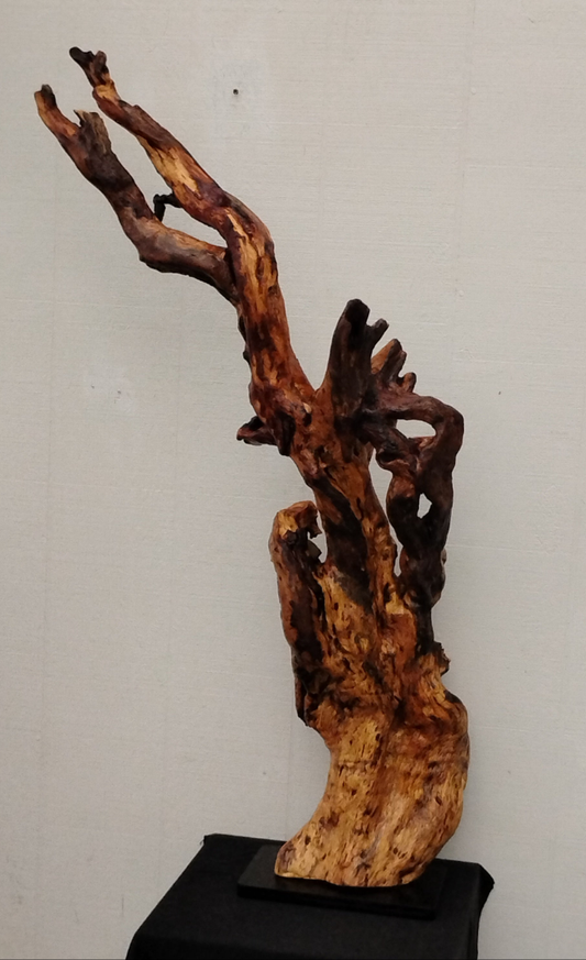 Large Driftwood Art Floor Sculpture Handcrafted in Oregon