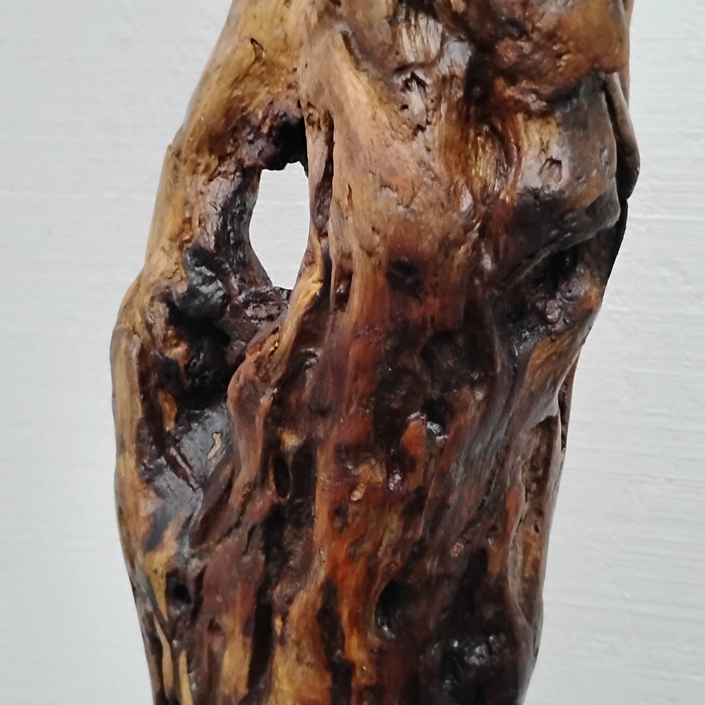 Driftwood Floor Sculpture Dark Wood Room Decor Statement Piece