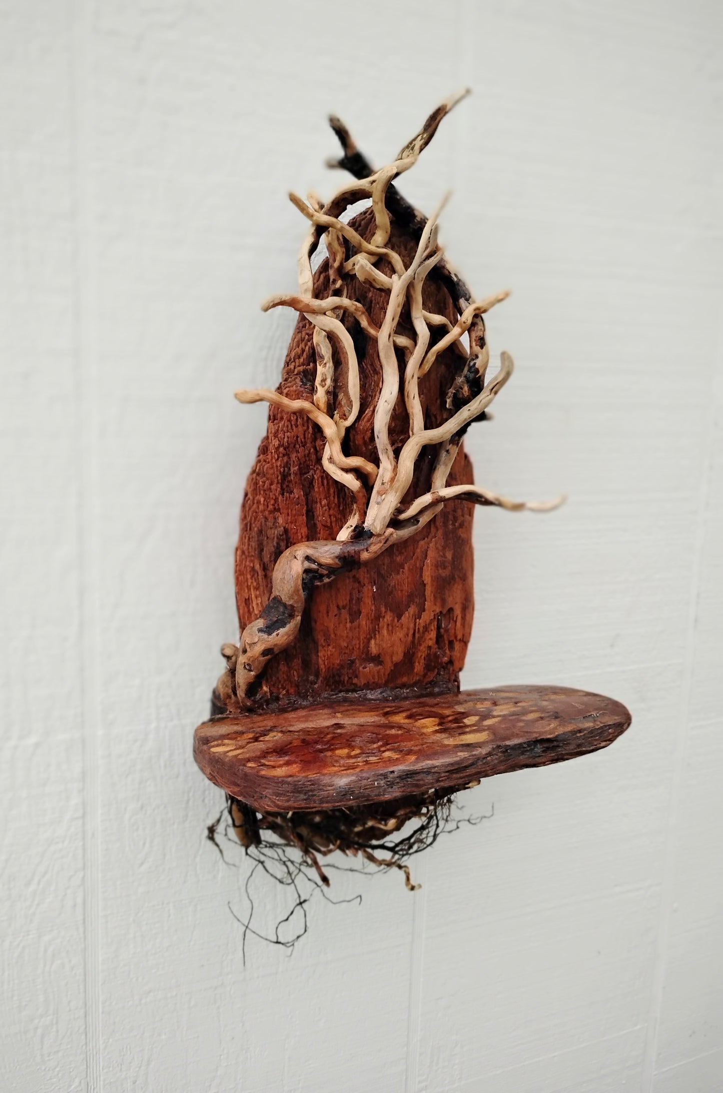 Driftwood Tree Natural Wood Decor Wall Art