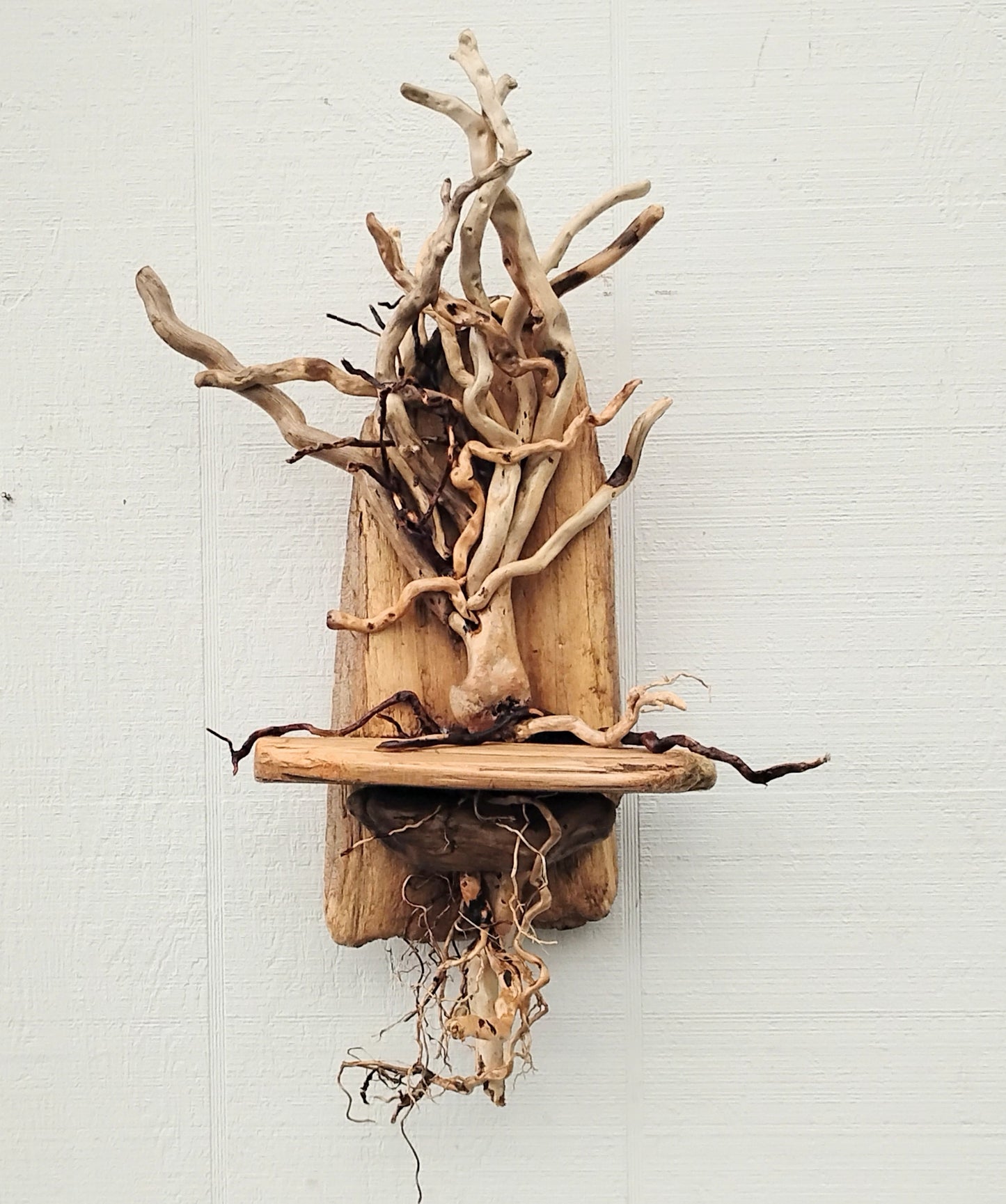 Driftwood Art Tree Beach Home Decor Wall Art
