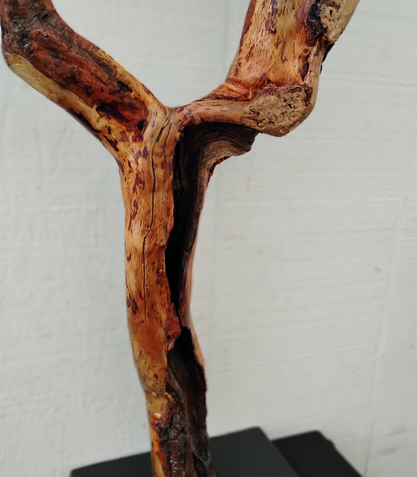 Driftwood Decor Table Sculpture Rustic Abstract Circle Modern Driftwood Decor