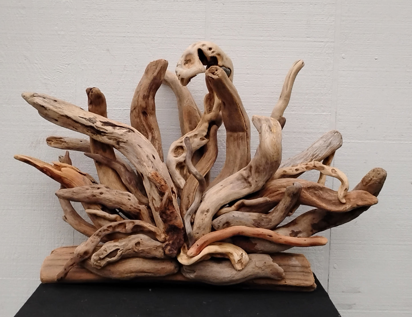 Natural Driftwood Art Wall Sculpture
