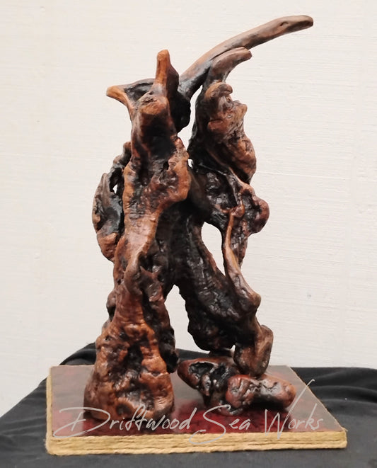 Manzanita Burl Table Sculpture Hand Crafted Natural Oregon Driftwood Dark Wood Abstract Living Room Mantel Decor
