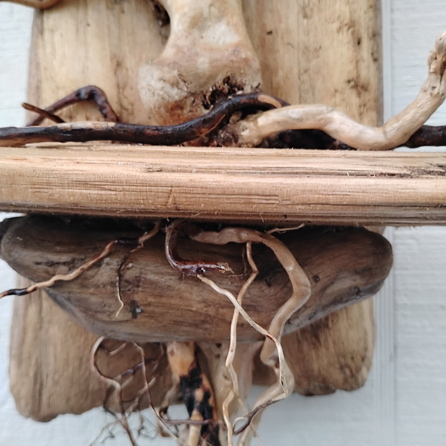 Driftwood Art Tree Beach Home Decor Wall Art