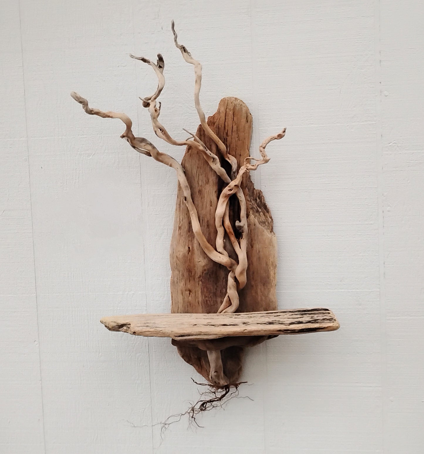 Driftwood Art Tree Beach Home Decor Wall Art