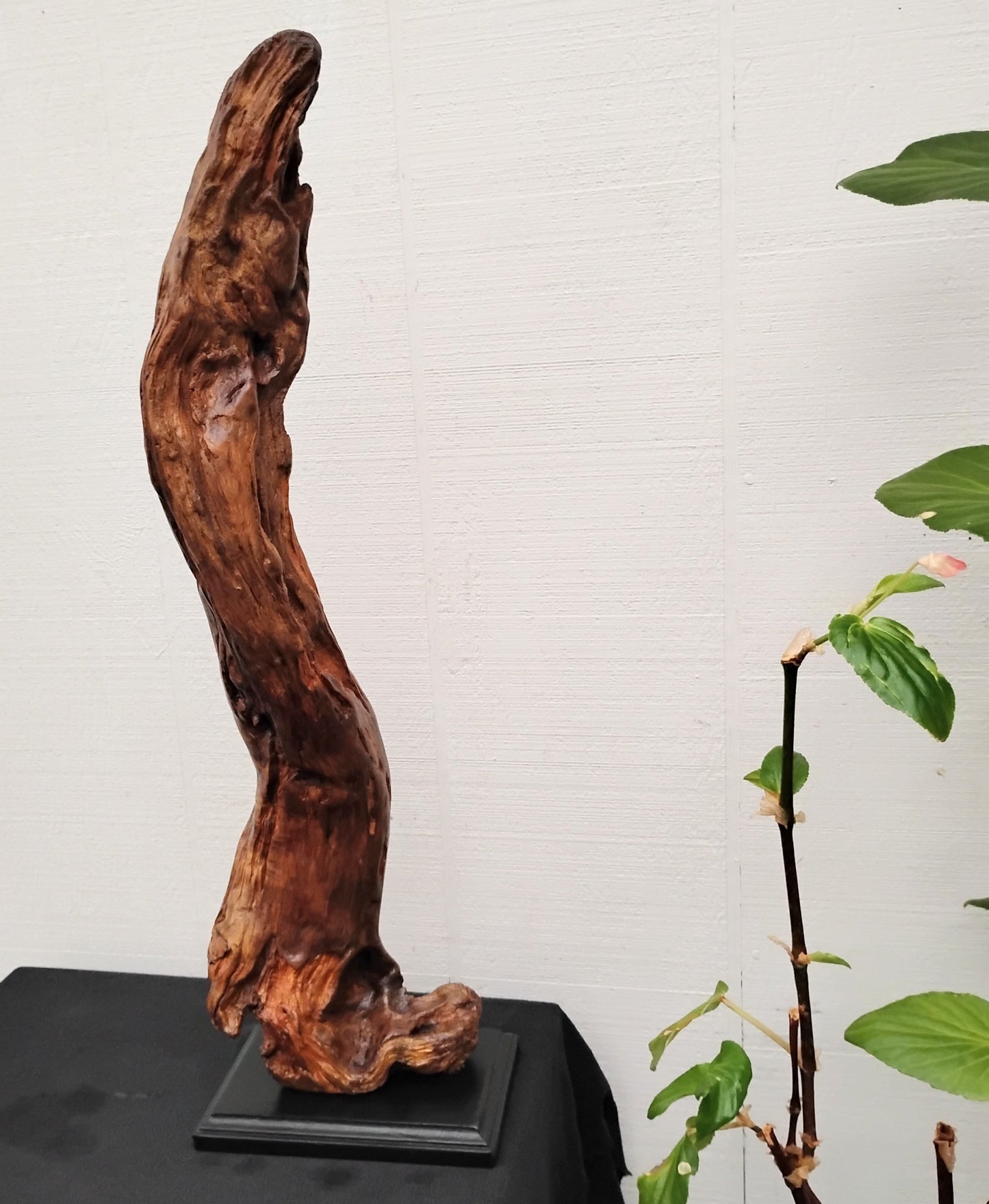 Natural Rustic Driftwood Art Fireplace Mantel Decor Sculpture