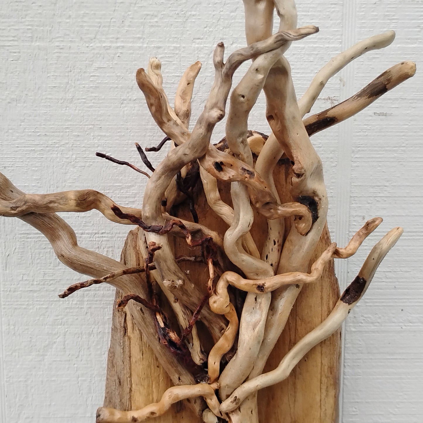 Driftwood Art Tree Beach Home Decor Wall Art