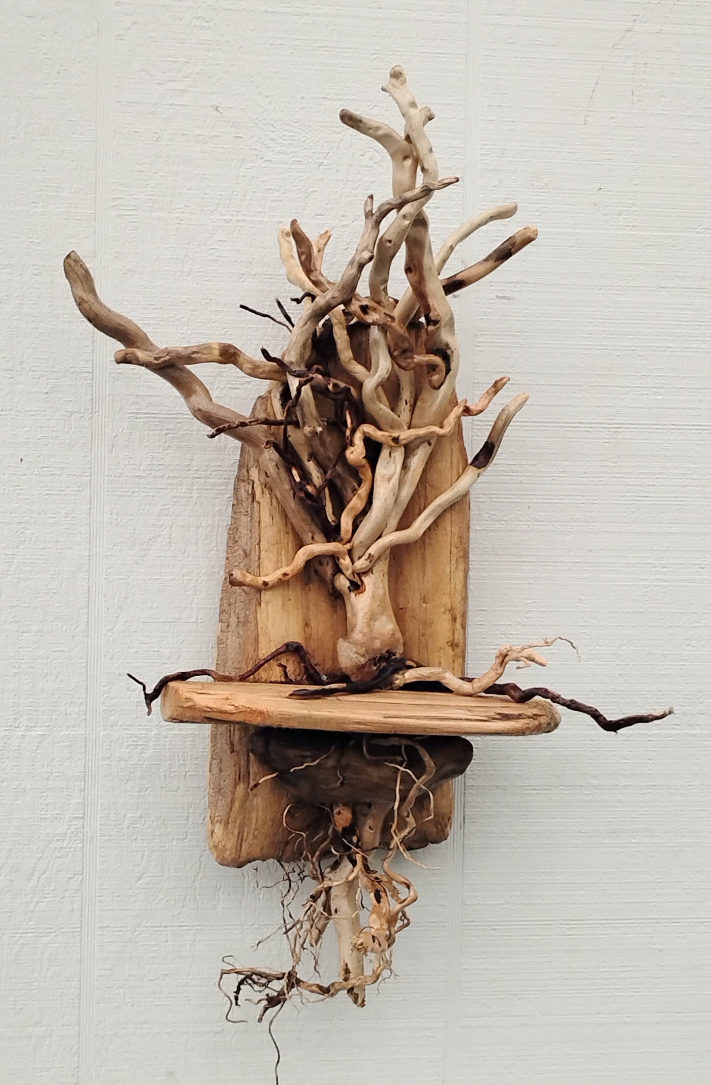 Driftwood Art Tree Beach Home Decor Wall Art