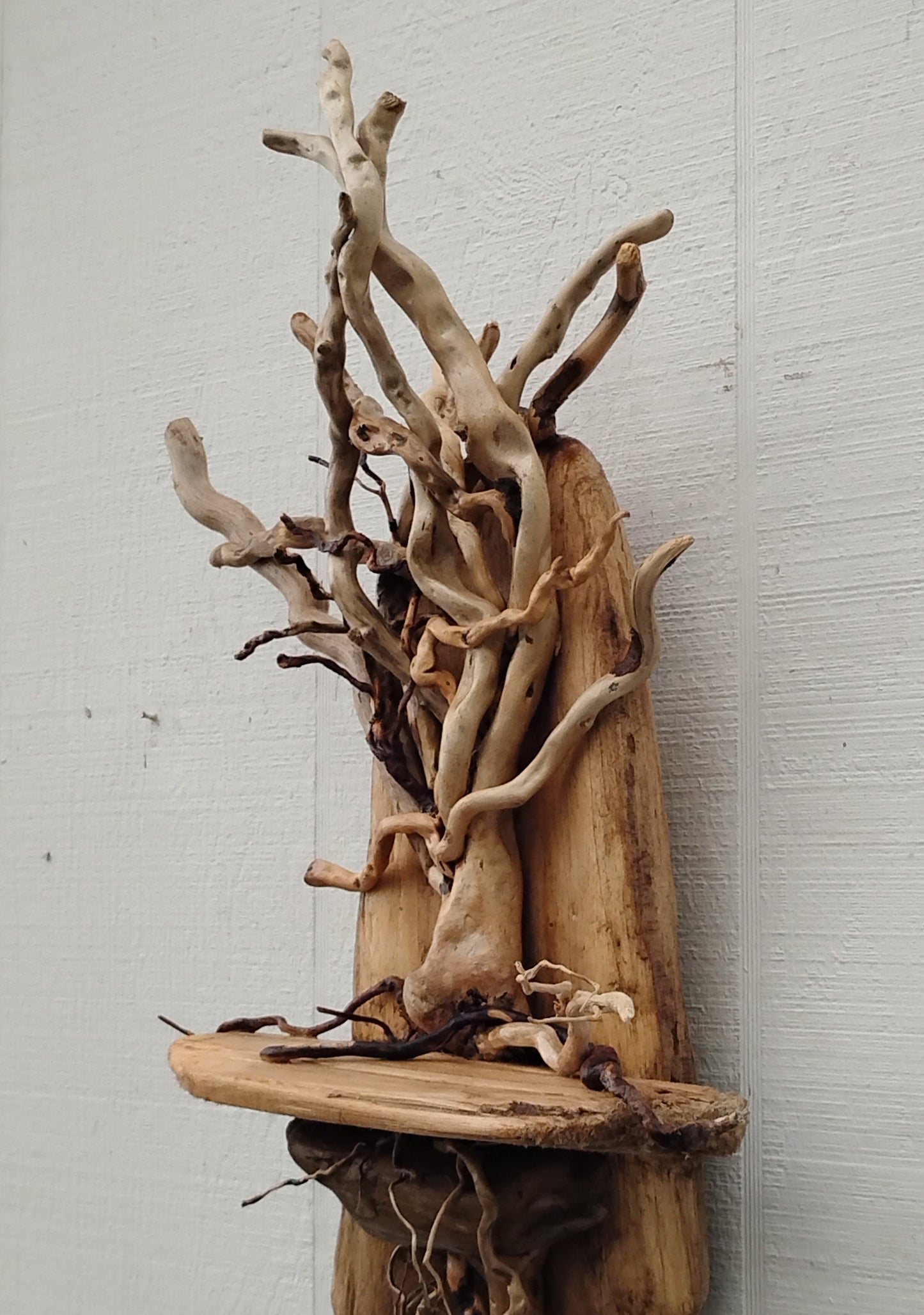 Driftwood Art Tree Beach Home Decor Wall Art