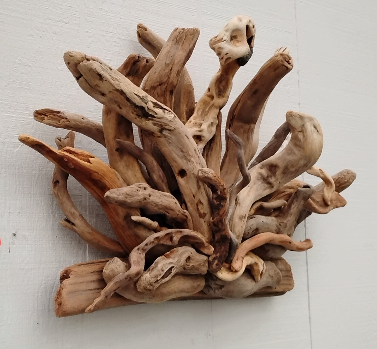 Natural Driftwood Art Wall Sculpture
