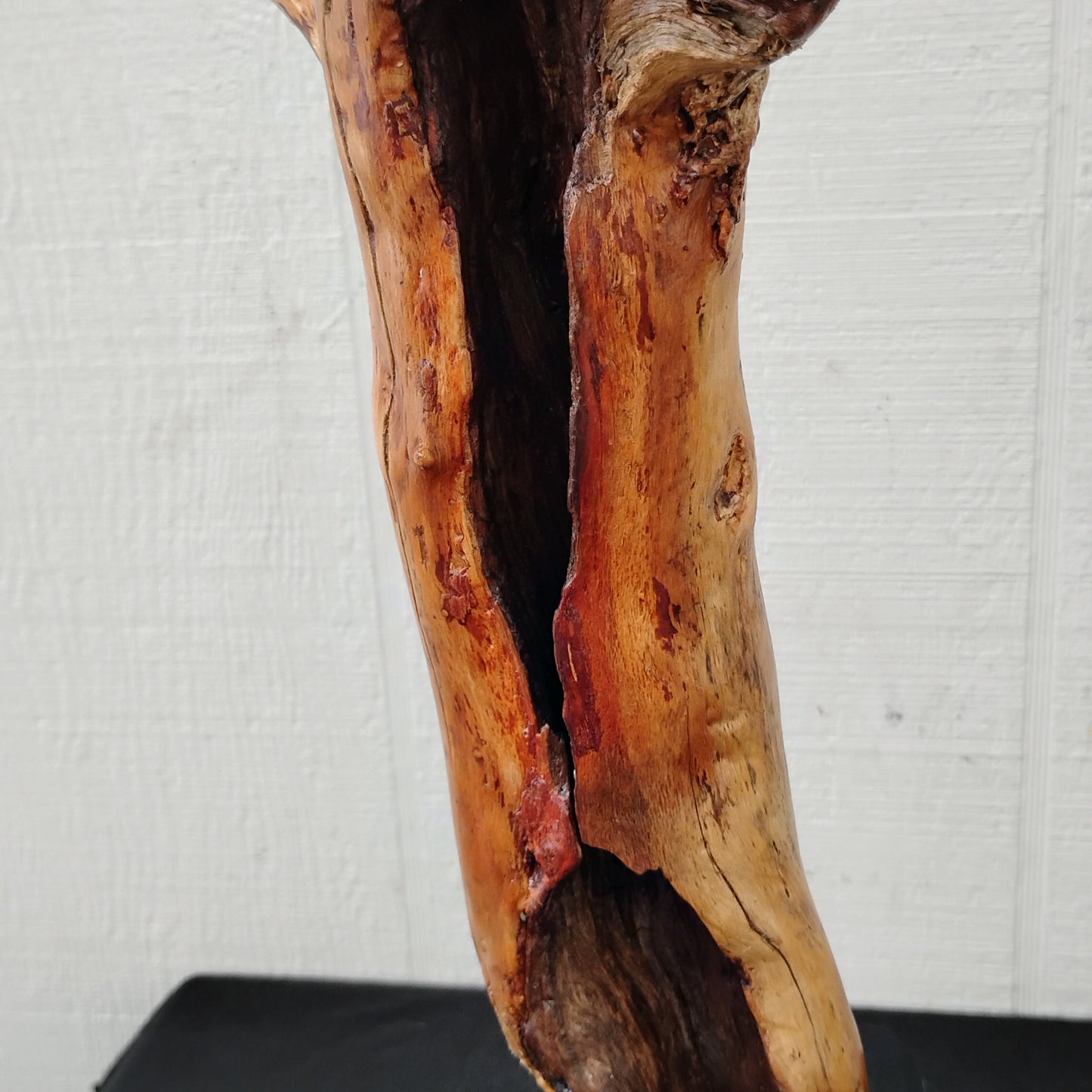 Driftwood Decor Table Sculpture Rustic Abstract Circle Modern Driftwood Decor