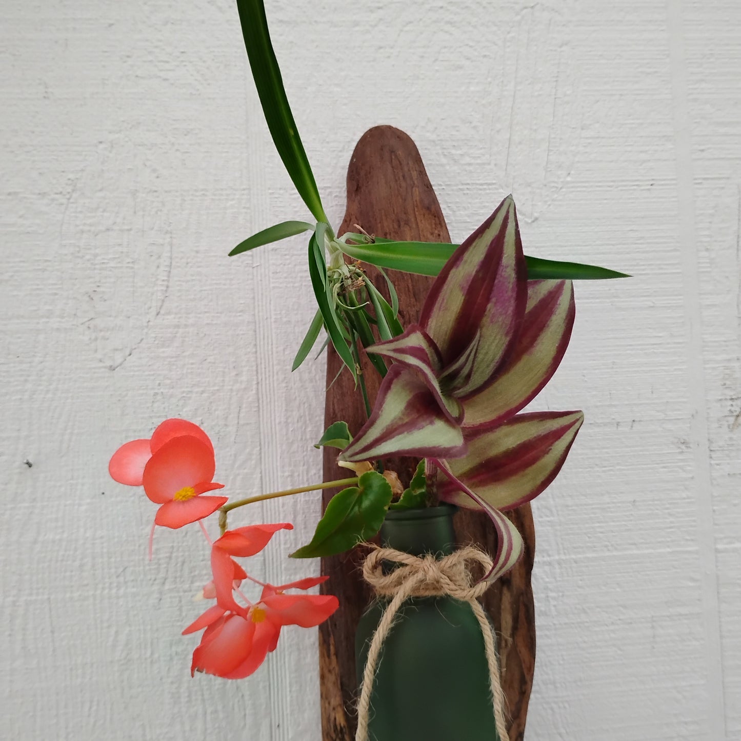 Rustic Driftwood Art Flower Vase /Air Plant Bottle Vase