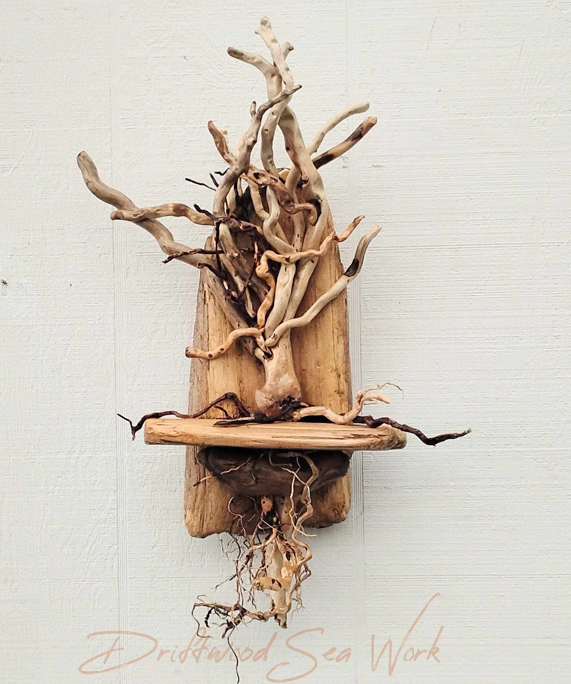 This one of a kind, unique driftwood tree was handmade by me with real driftwood pieces that I collected from the beaches of Oregon. It measures approximately 20 x 11 x 5 inches. Some pieces are naturally twisted and curved which give this piece awesome character. The branches that hang over are loose and move easily giving this piece nice movement. It is lighter in color more beige than brown which is natural to the driftwood I chose for this tree.