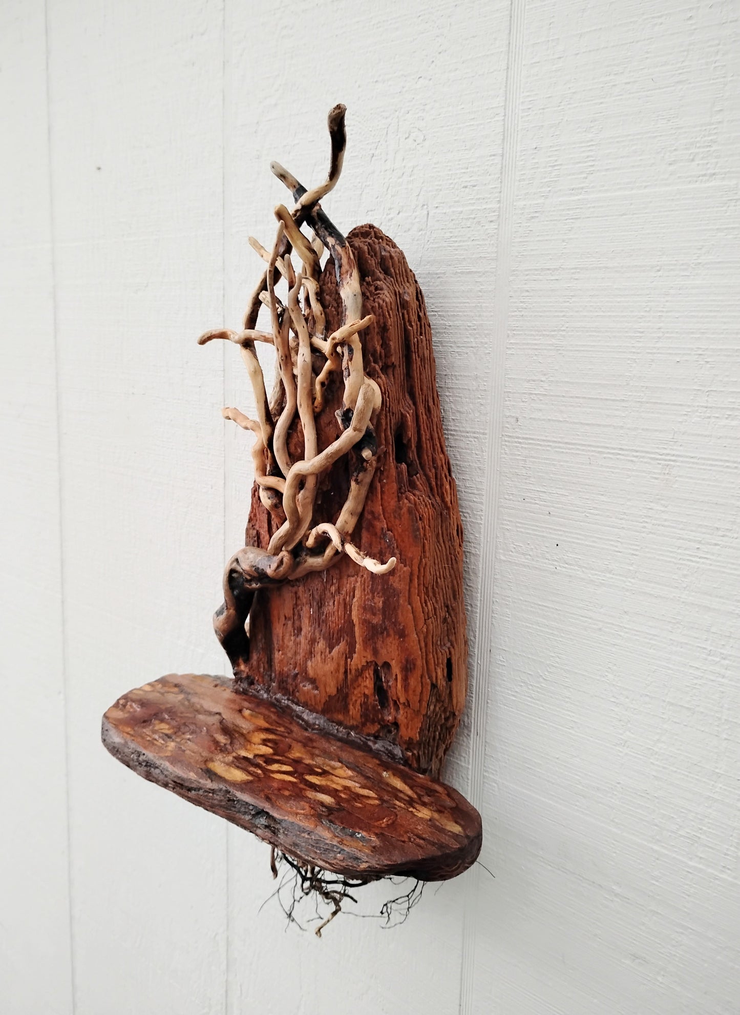 Driftwood Tree Natural Wood Decor Wall Art