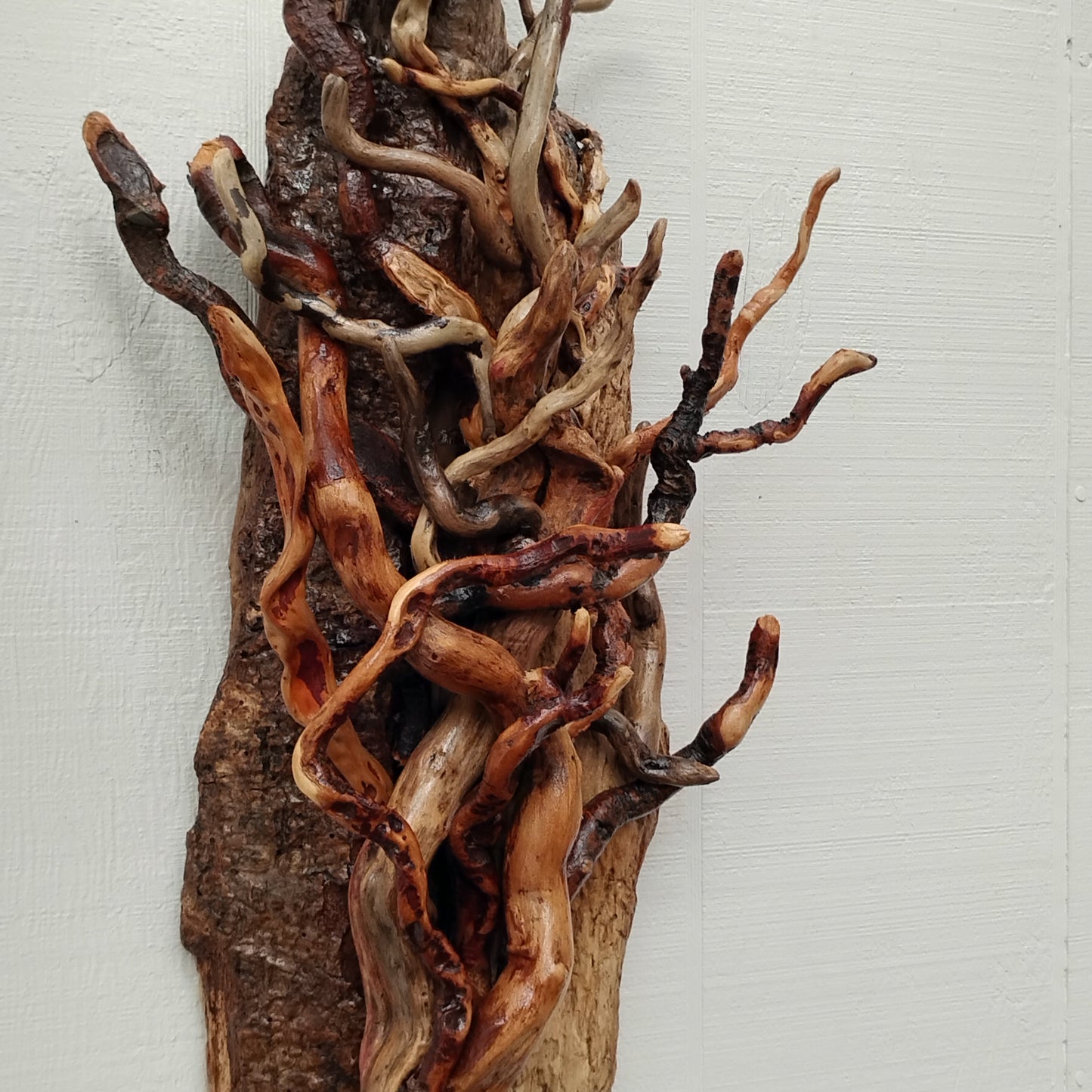 Large Leafless Driftwood Tree Wall Hanging